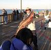 blogs/love-fotos-of-fish/attachments/23-dales-cobia-47-pounder-april-13-2013-dale-cobia-edited.jpg